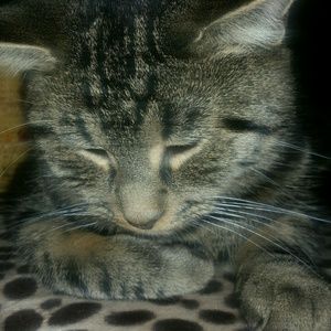 Meet your Posher, Gail